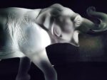 éléphant-sumatra-Lalique