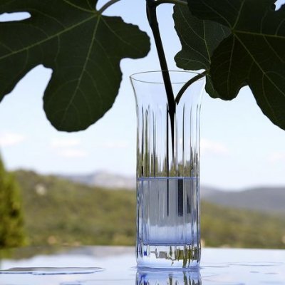 flora-vase-biseau-Baccarat