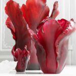 collection-tulipe-daum-france