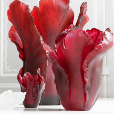 collection-tulipe-daum-france