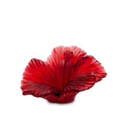 Fleur hibiscus daum