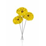 Coffret printemps fleurs d’extérieurs X3 jaune