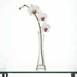 soliflore-cristal-de-lorraine