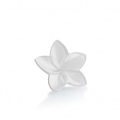 Fleur-the-bloom-collection-Baccarat