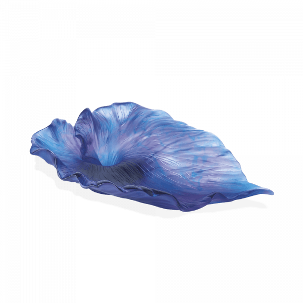 coupe-numerotee-arum-Daum