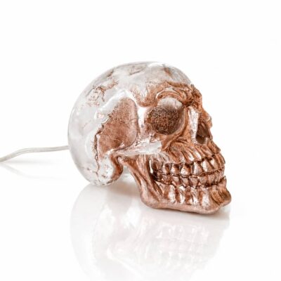 lampe-crane-de-cristal