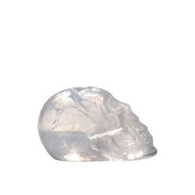 Crâne de cristal - loïc ortega