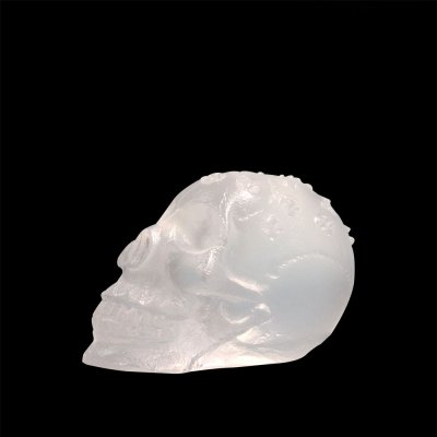 secret-crane-de-cristal