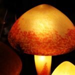 vente-dome-chapeau-de-lampe-en-verre