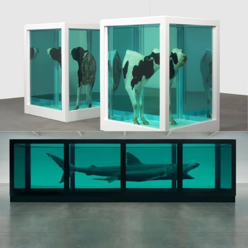 Damien hirst