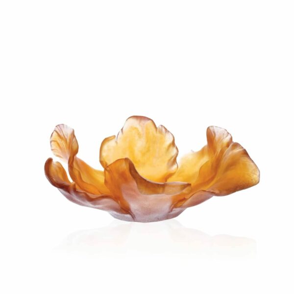coupe-tulipe-ambre-daum