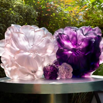 collection-camelia-daum