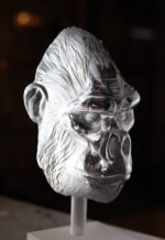 tete-de-gorille-polie-verre