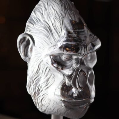 tete-de-gorille-polie-verre