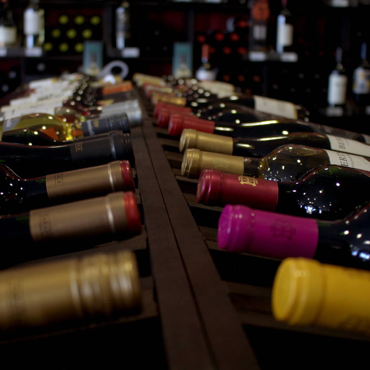 Le Malbec, cépage emblématique de Cahors 8 cepage-malbec