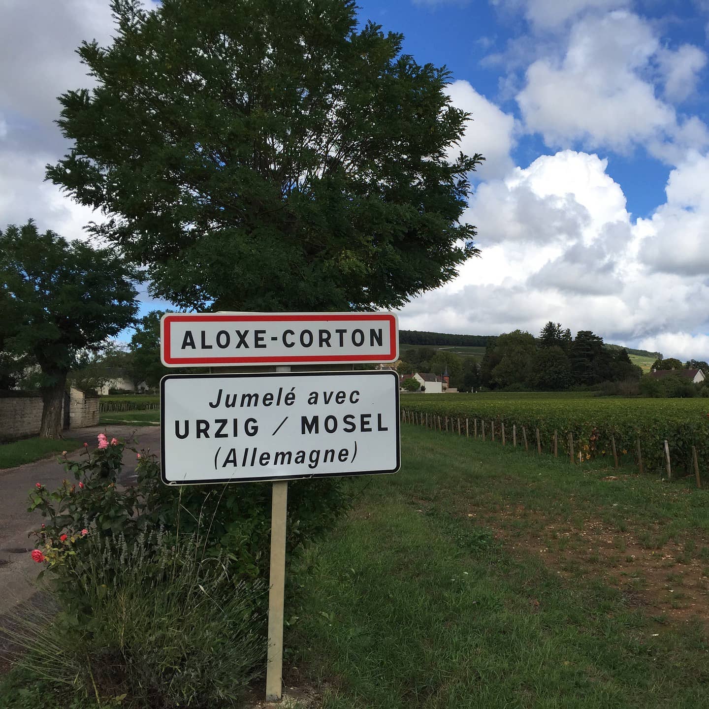 Grands vins de Bourgogne, notre top 10 17 grands-vins-bourgogne