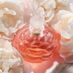 crystal-collectible-bottle-pivoine-2021-lalique