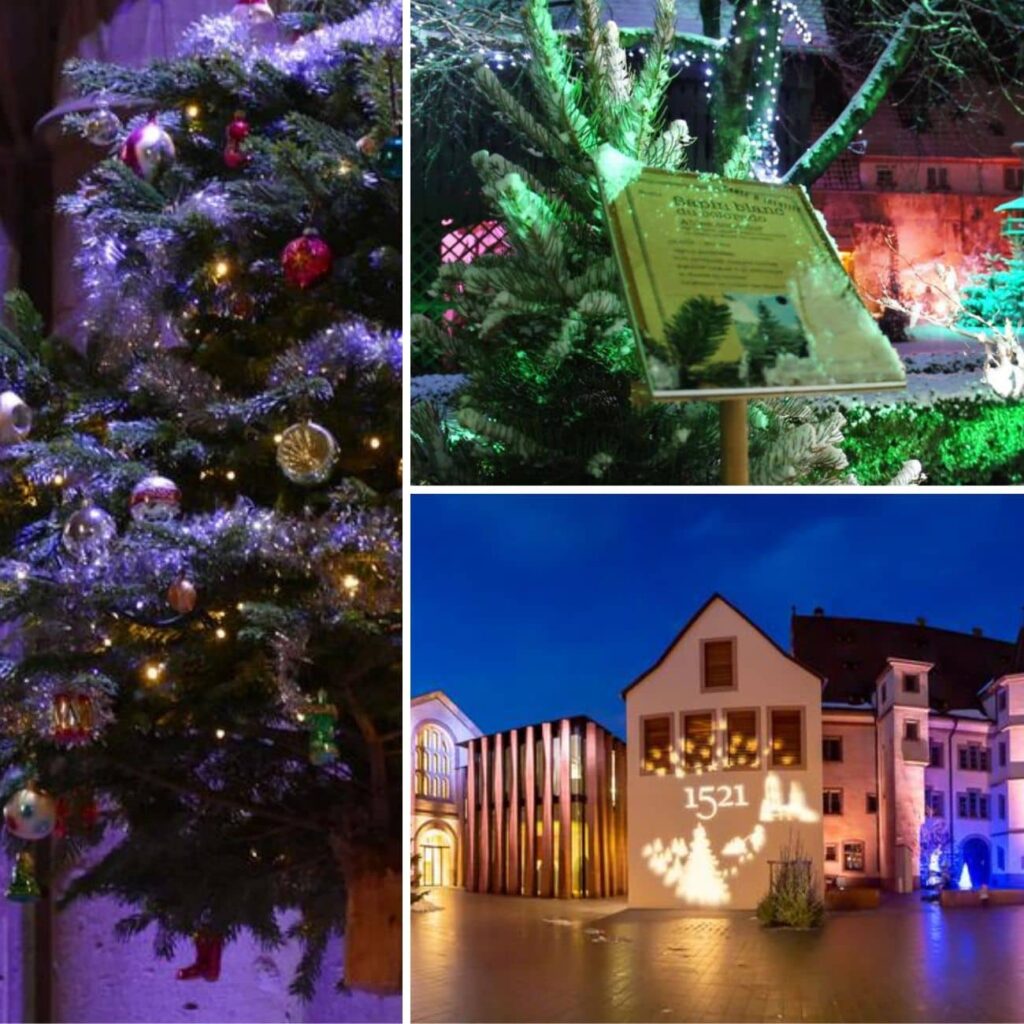 marche-noel-selestat
