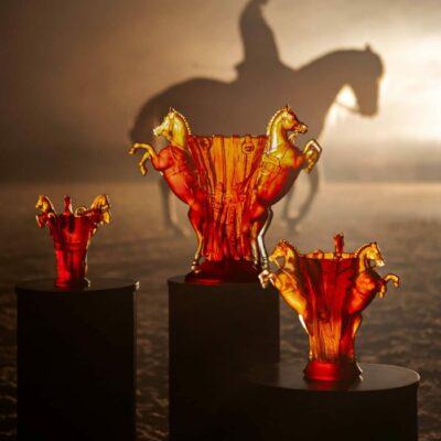 reve-equestre-daum-france