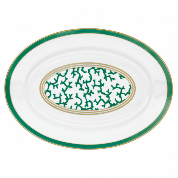 plat-ovale-41-cm-porcelaine-cristobal-vert-raynaud