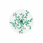 soucoupe-dejeuner-cristobal-vert-raynaud