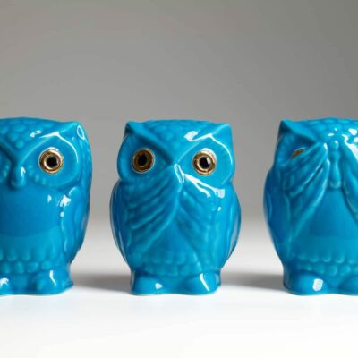 Chouette-IWA-KIKA-MI-longwy