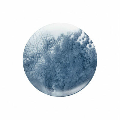 assiette-plate-coupe-21-cm-motif-n1-abysses-raynaud