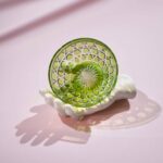 boite-royal-saintlouis-vert-chartreuse