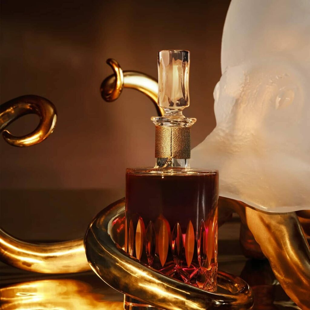 cognac-camus-pieuvre-daum