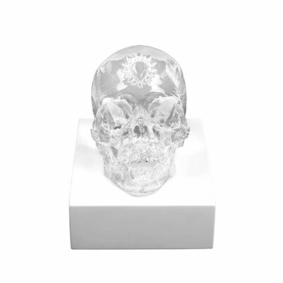 crane-cristal-clair-Eternal-Sleep-damien-hirst-lalique