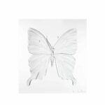 papillon-eternal-Beauty-Damien-Hirst-lalique-incolore