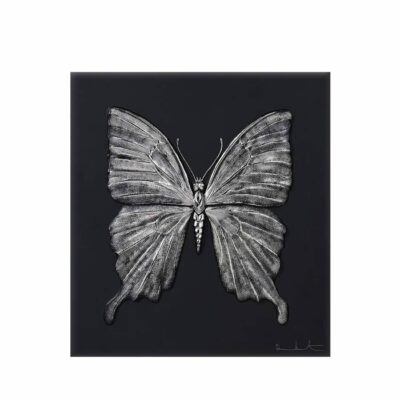 papillon-eternal-Beauty-Damien-Hirst-lalique-platine