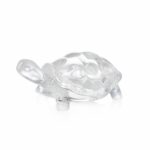 tortue-cristal