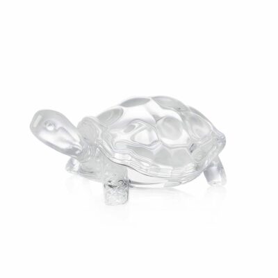 tortue-cristal