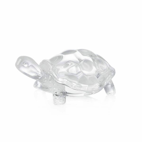tortue-cristal