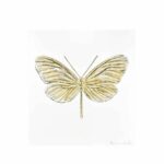 papillon-lalique-eternal-Hope-Damien-Hirst-incolore-tamponne-or