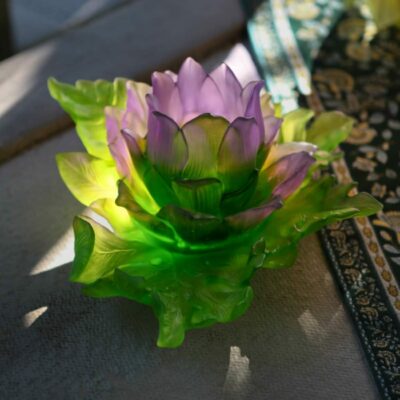 contre-de-table-jardin-lotus-daum