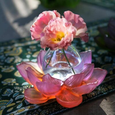 soliflore-rose-ambre-daum-jardin-du-lotus-daum