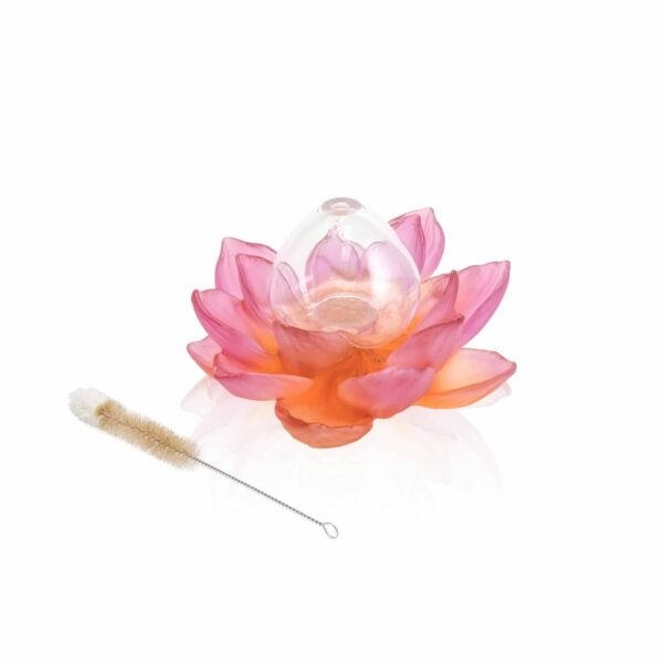 soliflore-rose-ambre-daum-jardin-du-lotus-daum-france