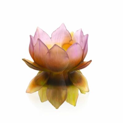 vase-moyen-modele-jardin-lotus-daum