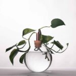 vase-scandinavia-incolore-large-2