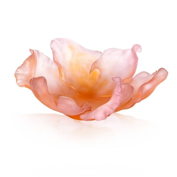 coupe-tulipe-daum-large