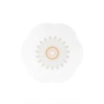 coupes-saveur-fleur-porcelaine-daum