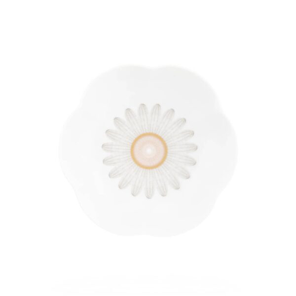 coupes-saveur-fleur-porcelaine-daum
