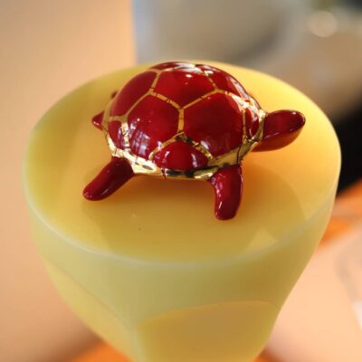 tortue-longwy